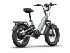 Himiway D5 2.0 20 Inch Electric Fat Tire Bike  Electric Bikes Paradise
