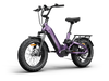 Himiway D5 2.0 20 Inch Electric Fat Tire Bike  Electric Bikes Paradise