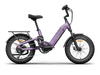 Himiway D5 2.0 20 Inch Electric Fat Tire Bike  Electric Bikes Paradise