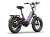 Himiway D5 2.0 20 Inch Electric Fat Tire Bike  Electric Bikes Paradise