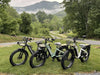 Himiway D5 Zebra Step-Thru Electric Fat Tire Bike  Electric Bikes Paradise