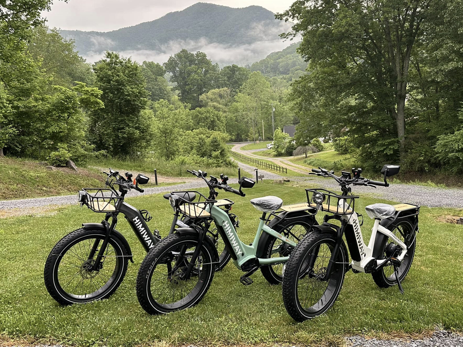 Himiway D5 Zebra Step-Thru Electric Fat Tire Bike  Electric Bikes Paradise
