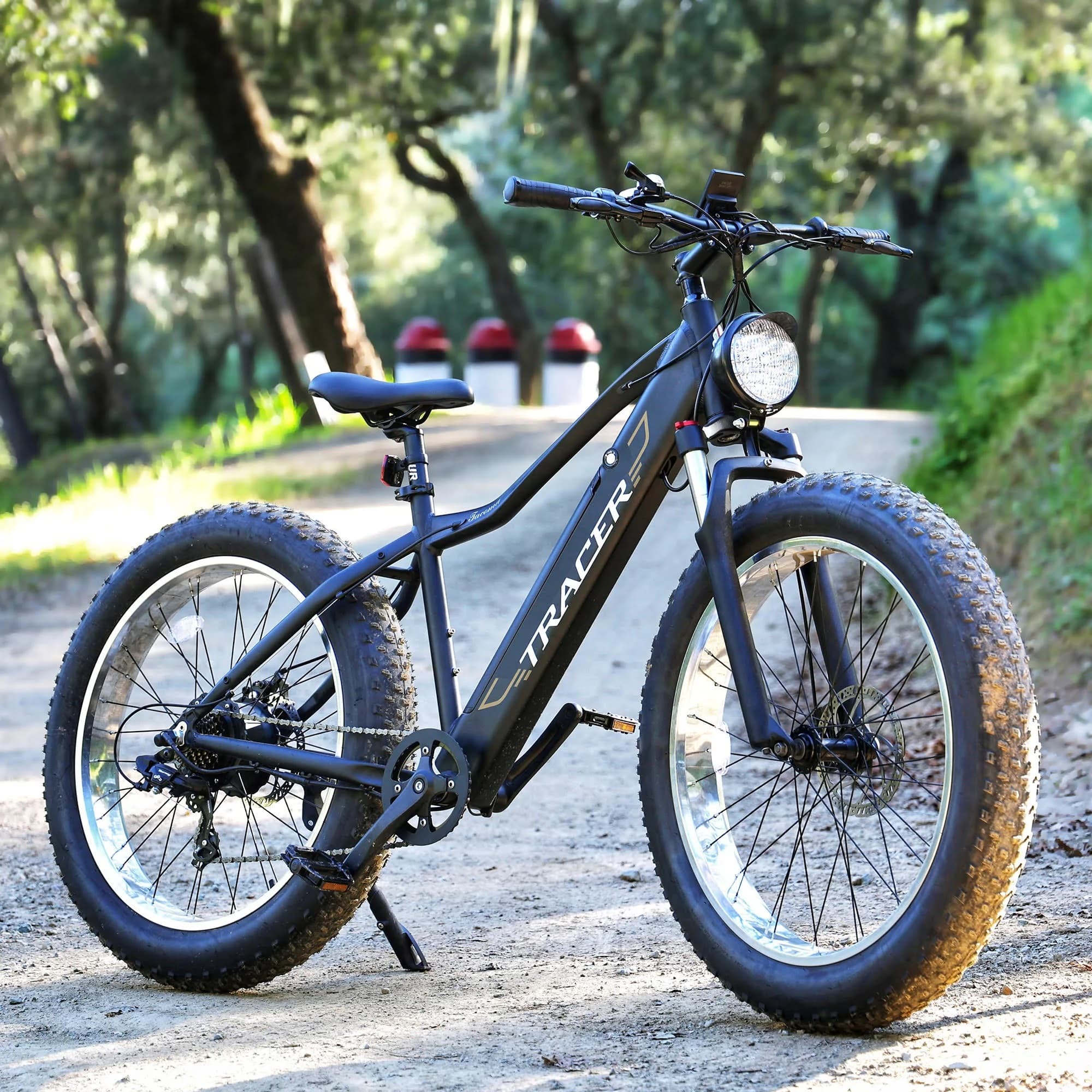 Tracer Tacoma 800W Electric Mountain Fat Tire Bike
