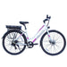Micargi Pluto 250W 36V Hybrid Electric Bike  Electric Bikes Paradise