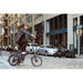 GoPowerBike GoCity 500W 48V Folding Electric Commuter Bike  Electric Bikes Paradise