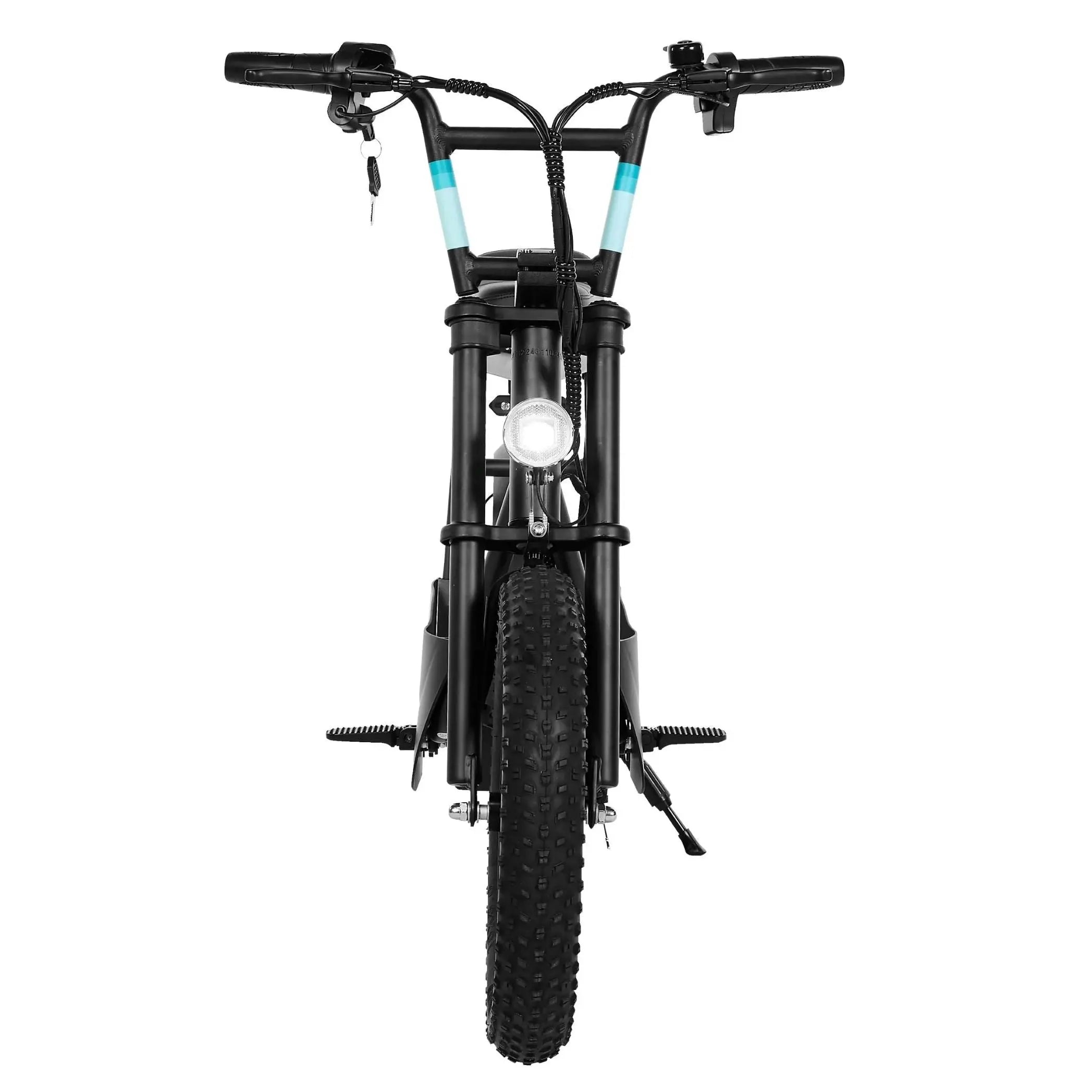 GoPowerBike GoSparky 350W 36V 18Ah Fat Tire Lithium Electric Bike  Electric Bikes Paradise