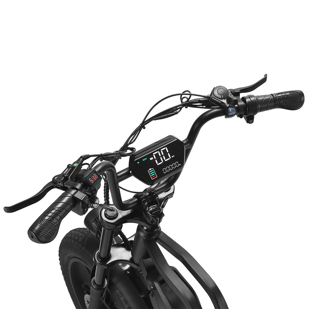 HappyRun Tank G60 1500W Fat Tire All-Terrain Electric Dirt Bike