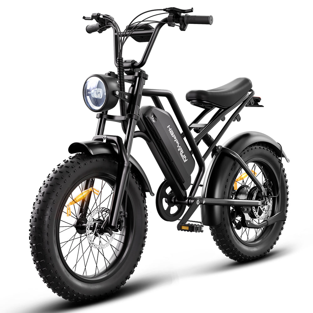 HappyRun Tank G50 750W Cargo City Electric Bike