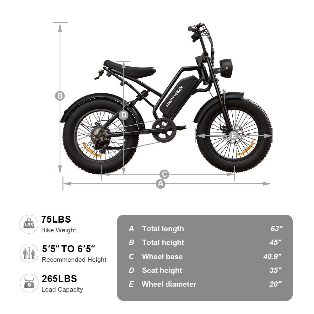 HappyRun Tank G50 750W Cargo City Electric Bike