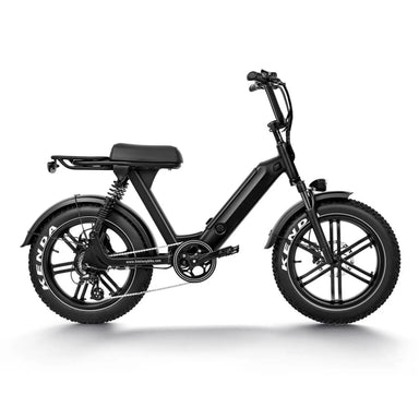 GlareWheel EB-AG 750W Fat Tire Moped-Style Electric Bike  Electric Bikes Paradise