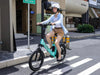 Himiway B3 Folding Electric Bike  Electric Bikes Paradise