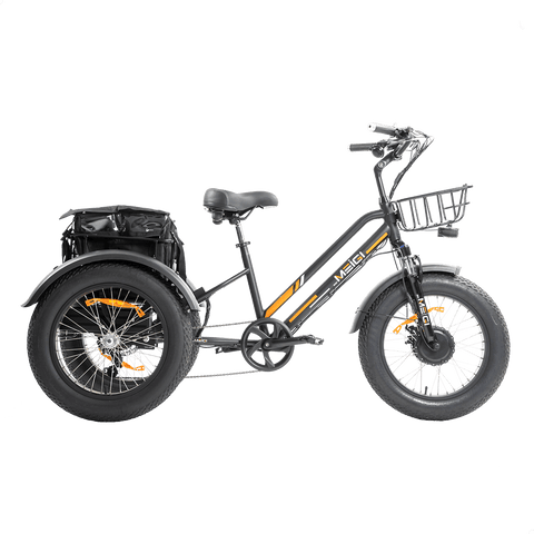 DWMEIGI MG1703 ZEUS 750W Fat Tire Electric Trike