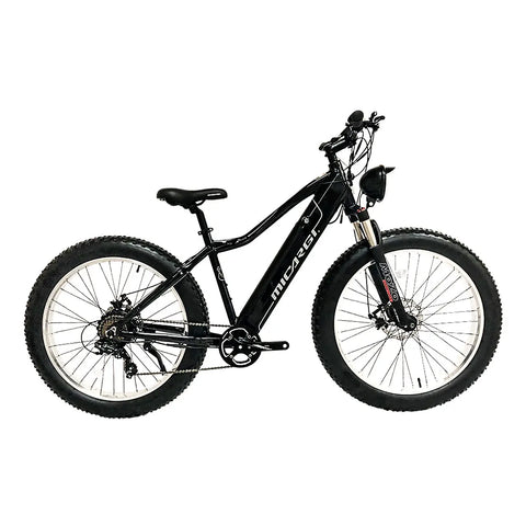 Micargi Steed 800W 48V Fat Tire Electric Mountain Bike