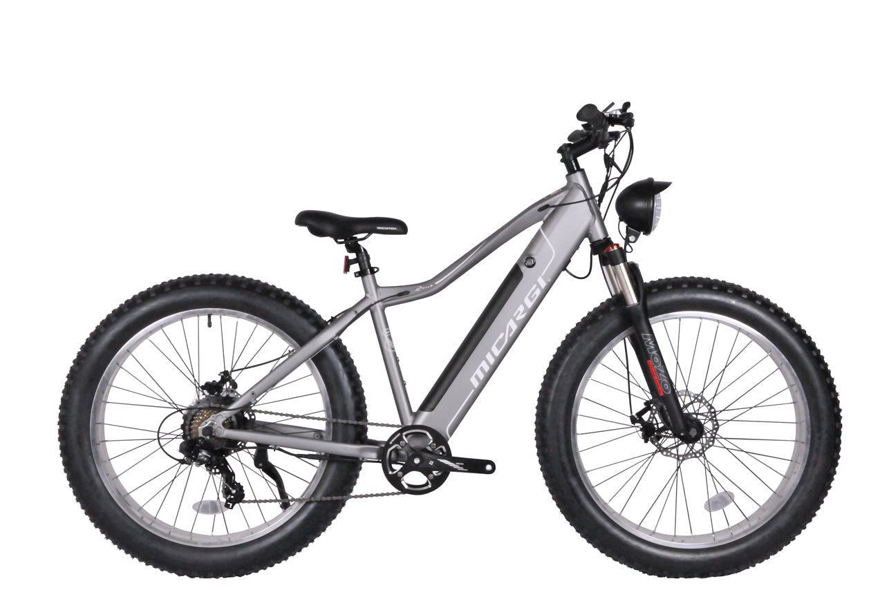 Micargi Steed 800W 48V Fat Tire Electric Mountain Bike