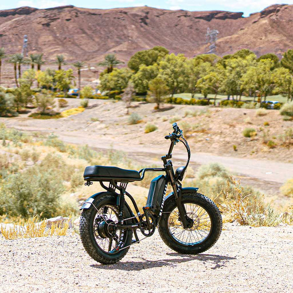 Nakto F2 Fat Tire Full Suspension Electric Bike
