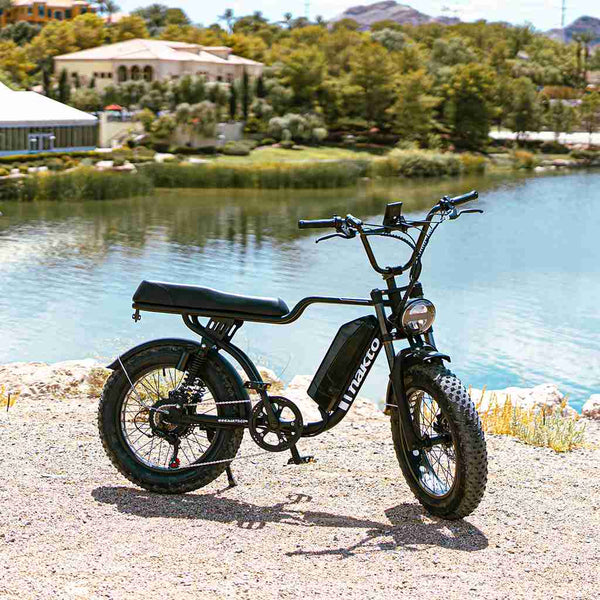 Nakto F2 Fat Tire Full Suspension Electric Bike