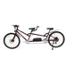 Micargi Raiatea 500W 48V Tandem Electric Bike  Electric Bikes Paradise