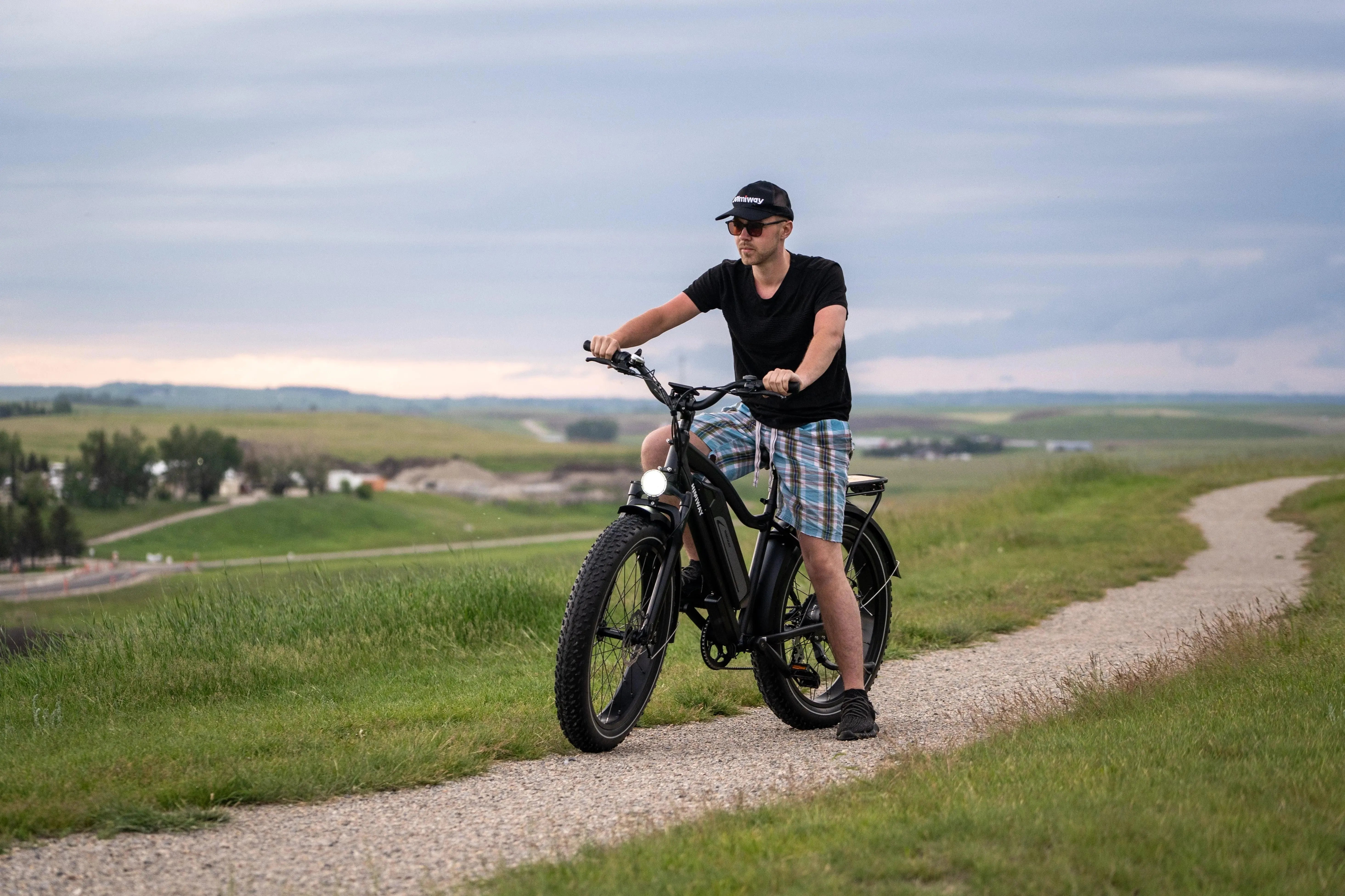 Himiway D3 Cruiser Electric Fat Tire Bike  Electric Bikes Paradise