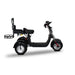SoverSky T7.4 4000W Golf Trike Scooter for 36+ Holes  Electric Bikes Paradise