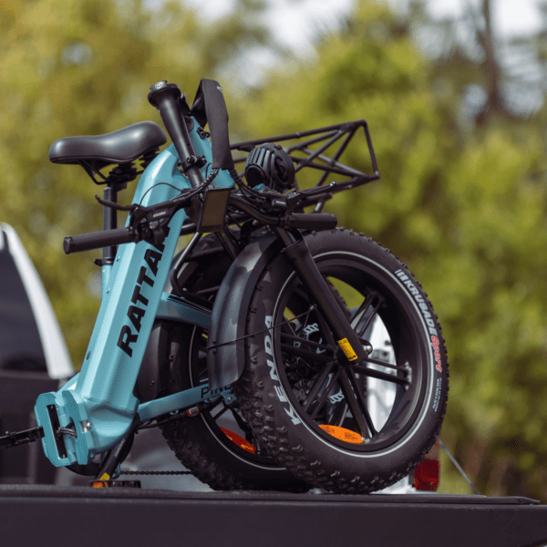 rattan pinus electric fat tire bike