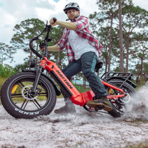 rattan pinus electric fat tire bike