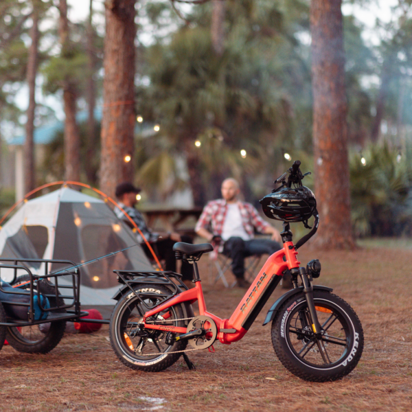 rattan pinus electric fat tire bike