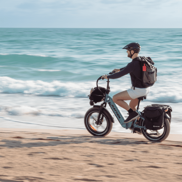 rattan pinus electric fat tire bike