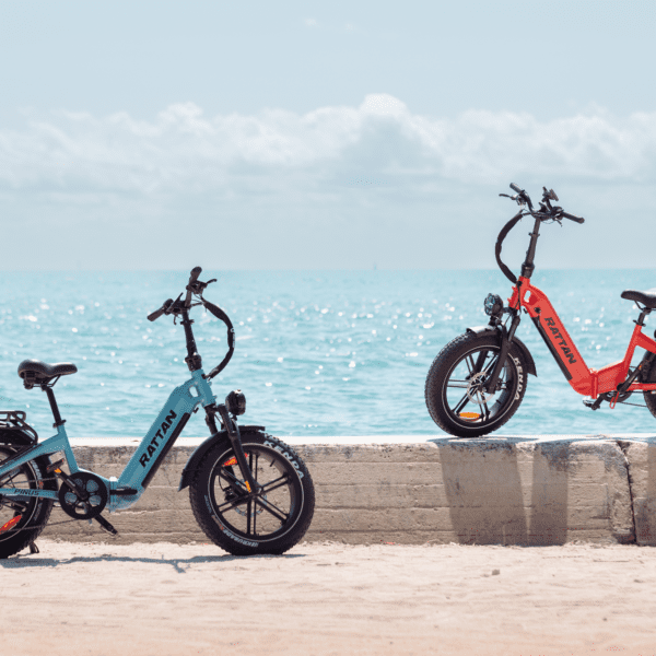 rattan pinus electric fat tire bike