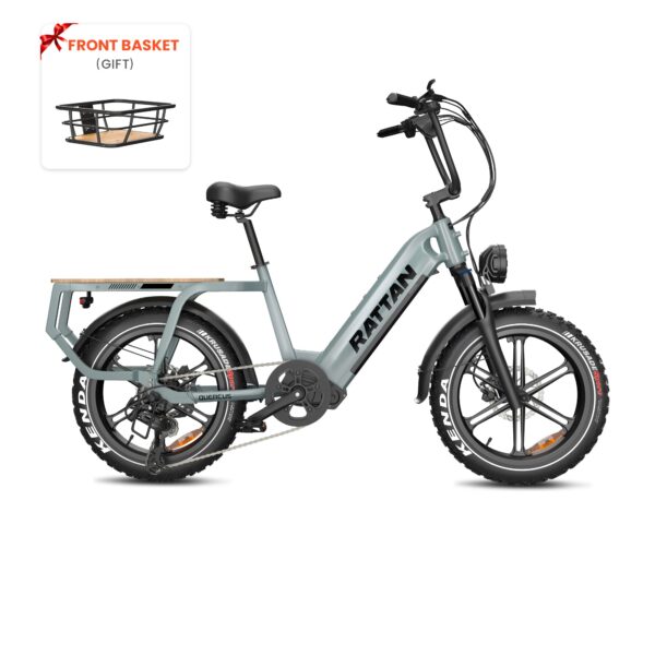 rattan quercus electric fat tire bike
