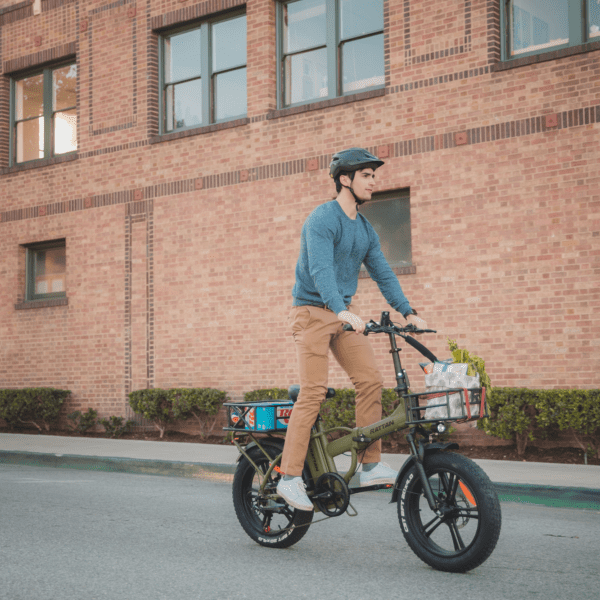 rattan lm 750 pro electric fat tire bike