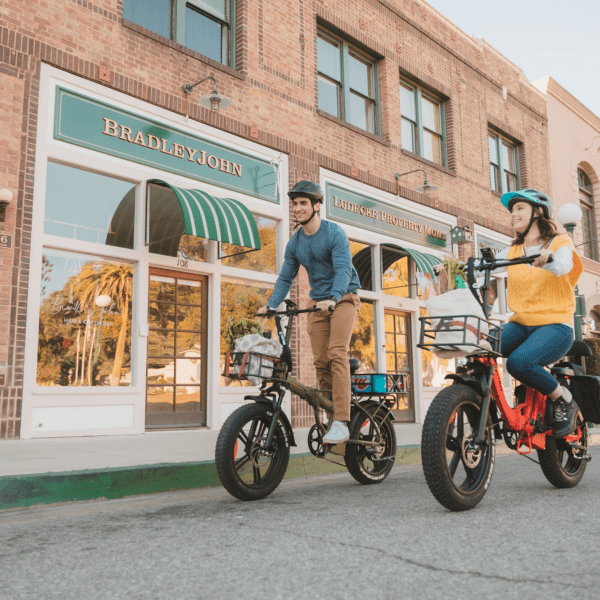 rattan lm 750 pro electric fat tire bike