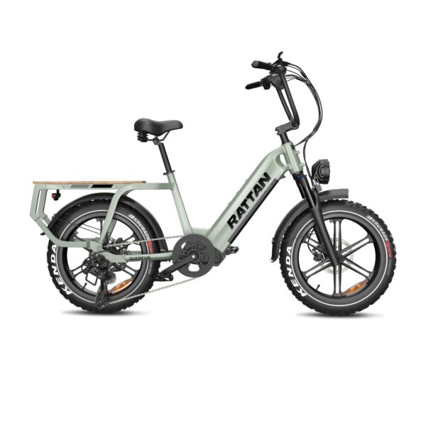 rattan quercus electric fat tire bike