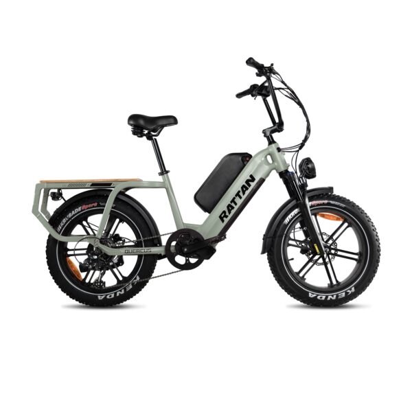 rattan quercus electric fat tire bike