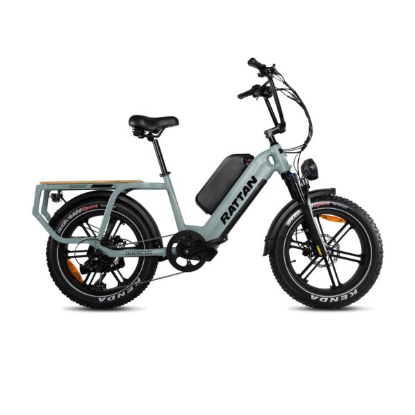 rattan quercus electric fat tire bike