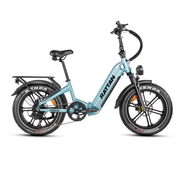 rattan pinus electric fat tire bike
