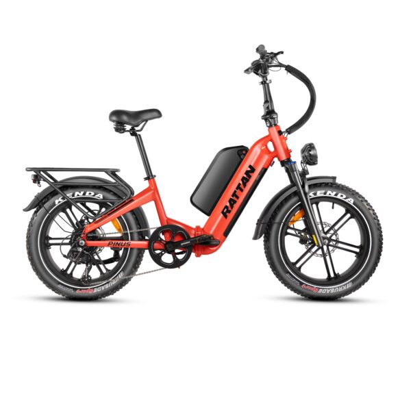 rattan pinus electric fat tire bike