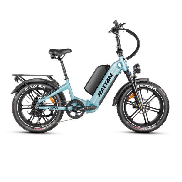 rattan pinus electric fat tire bike