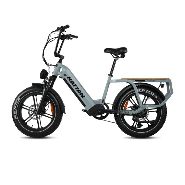 rattan quercus electric fat tire bike