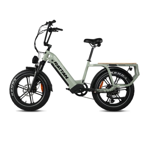 rattan quercus electric fat tire bike