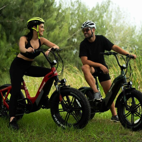pony compact step thru electric bike
