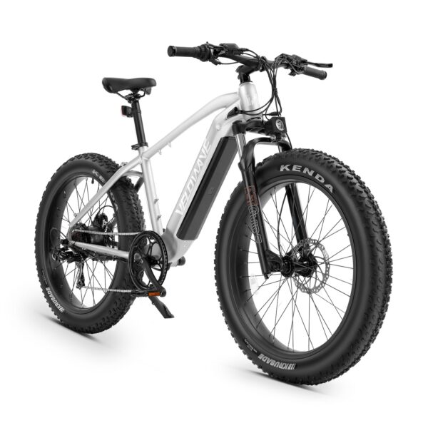 ranger fat tire electric bike