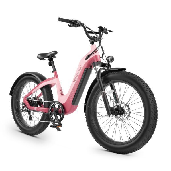grace 2.0 step thru electric bike