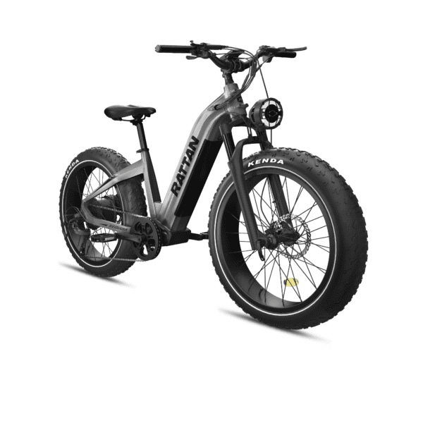 rattan sequoia electric fat tire bike