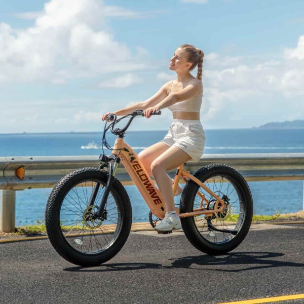rover step thru electric bike