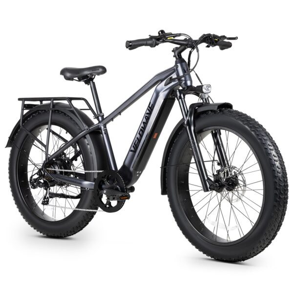 ranger 3.0 fat tire all terrain electric bike