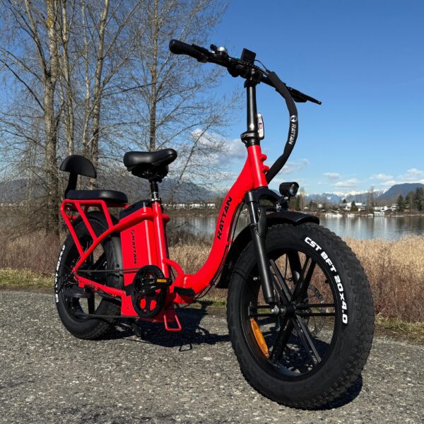 rattan lf ultra electric bike