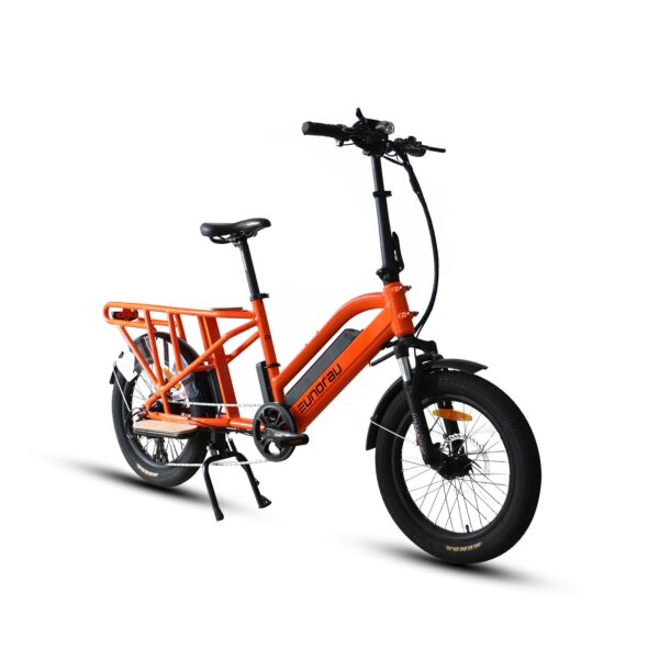 eunorau g30 cargo 48v/20ah 500w dual battery cargo electric bike