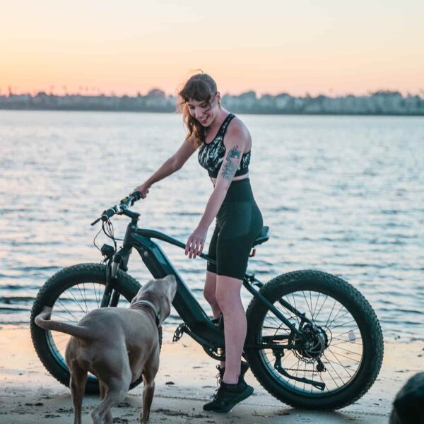ranger fat tire electric bike