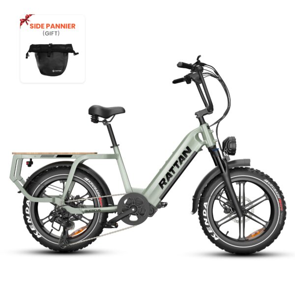 rattan quercus electric fat tire bike