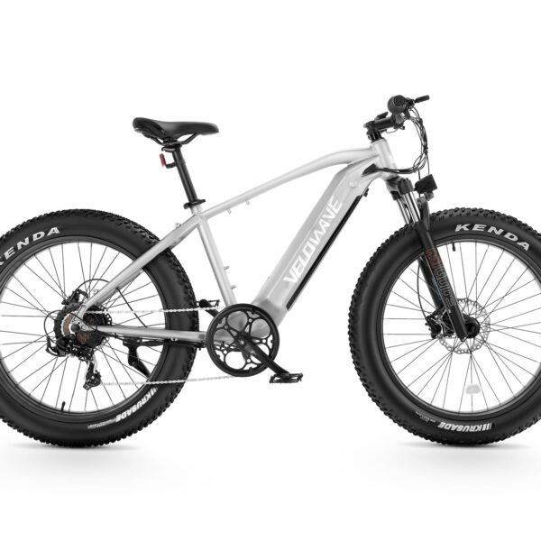 ranger fat tire electric bike